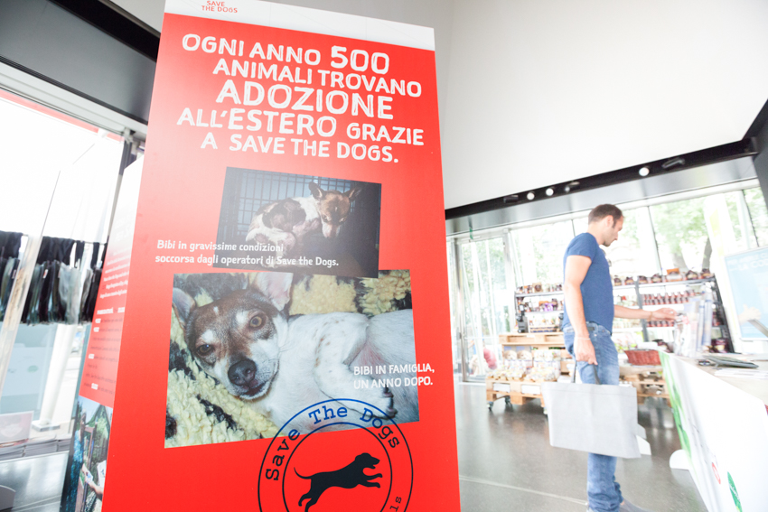 Save the Dogs and other Animals al Gate – 05 luglio 2016