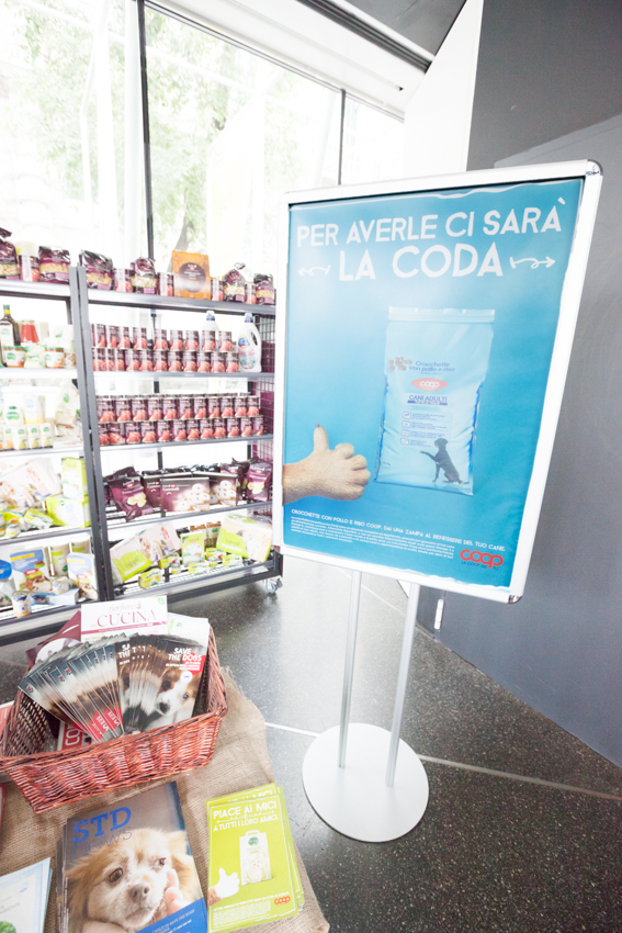 Save the Dogs and other Animals al Gate – 05 luglio 2016