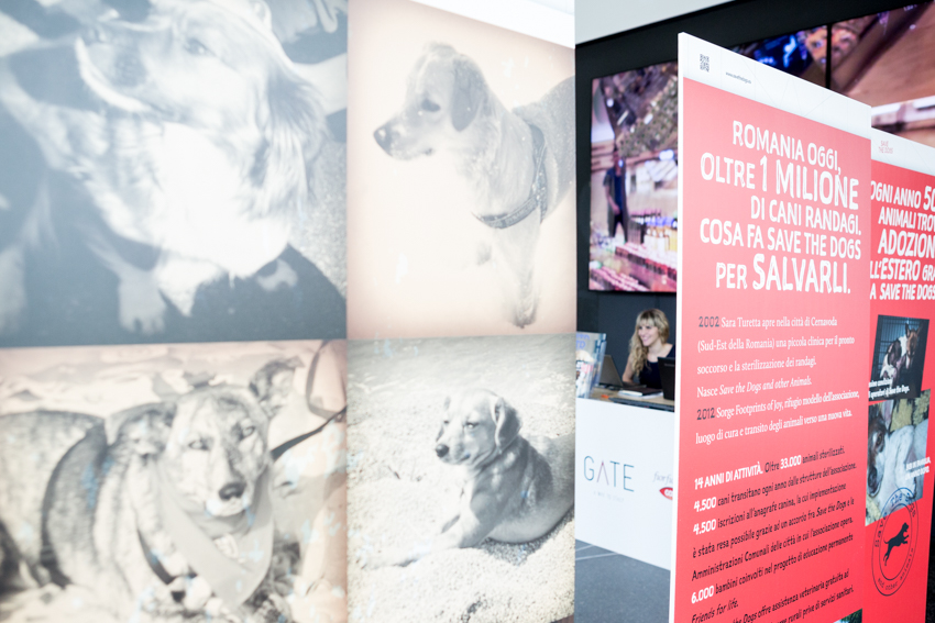 Save the Dogs and other Animals al Gate – 05 luglio 2016