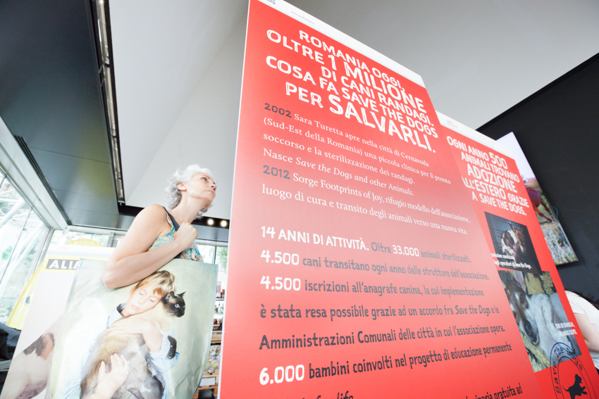 Save the Dogs and other Animals al Gate – 05 luglio 2016