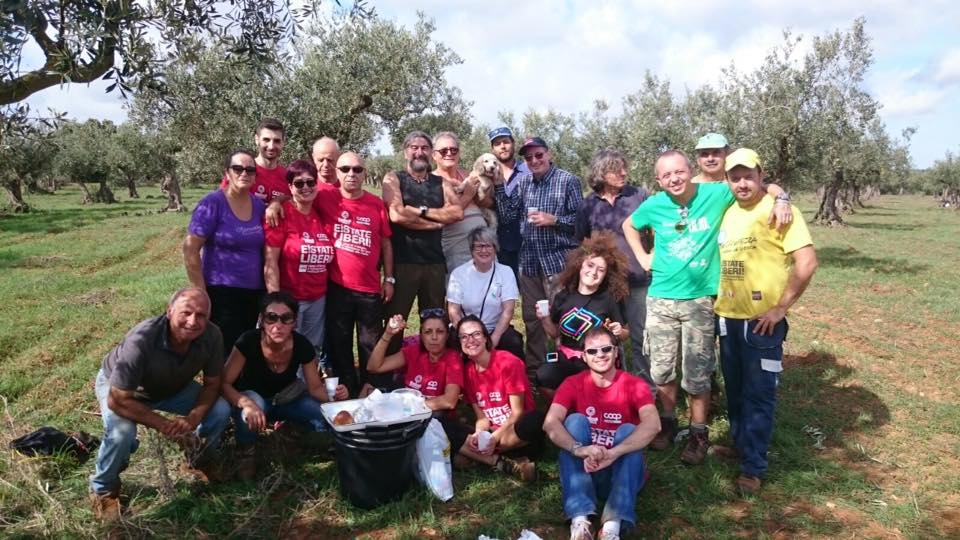 Campi Liberi - 17/23 ottobre 2016 - oro verde