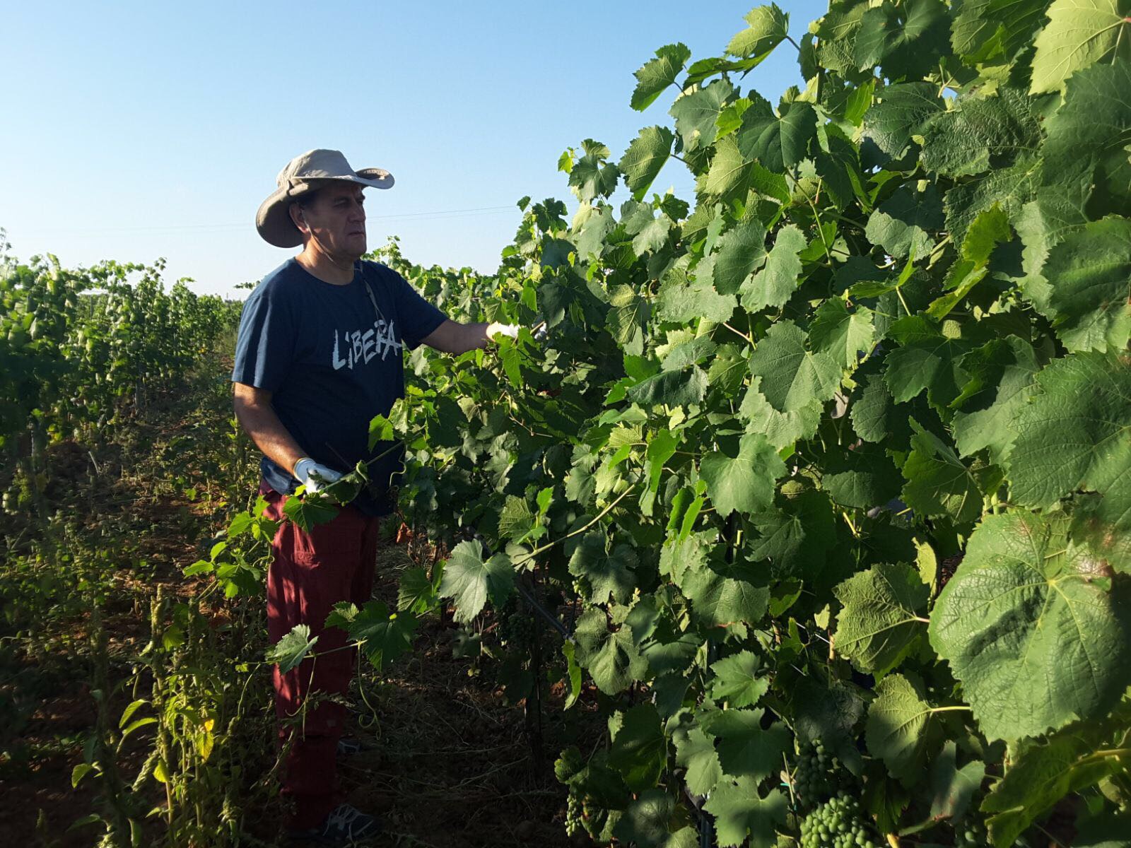 Campi Liberi luglio 2017 - Puglia (13)