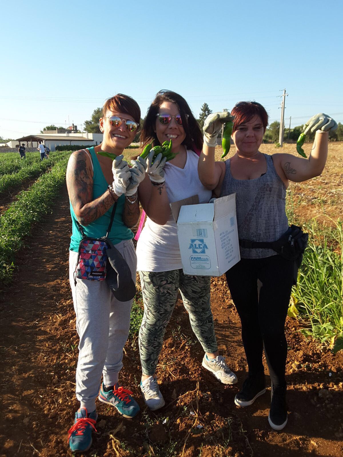 Campi Liberi luglio 2017 - Puglia (26)