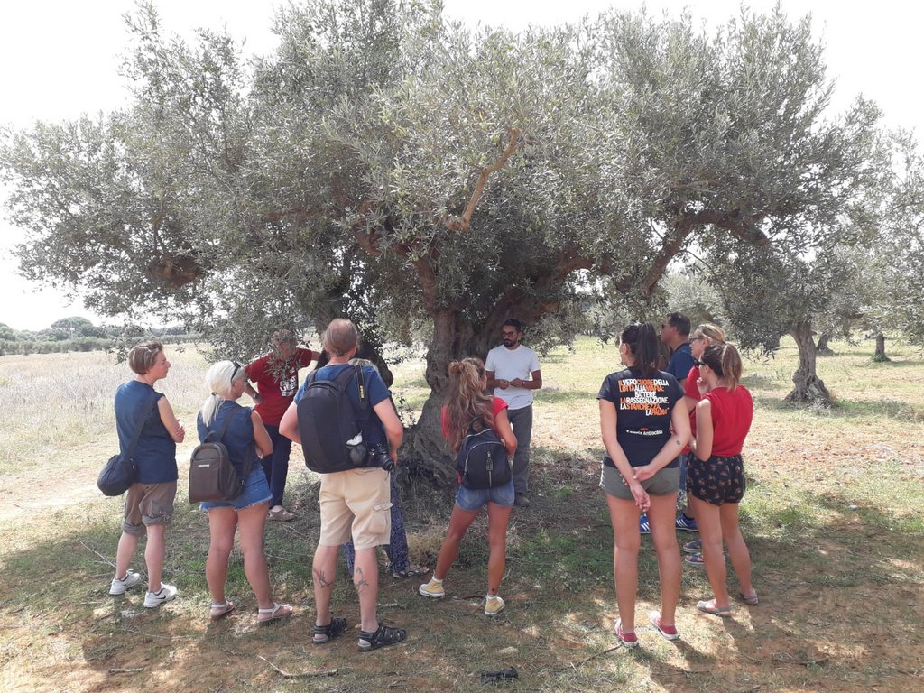 Campi liberi a San Giuseppe Jato dal 3 al 9 settembre 2018 (28)