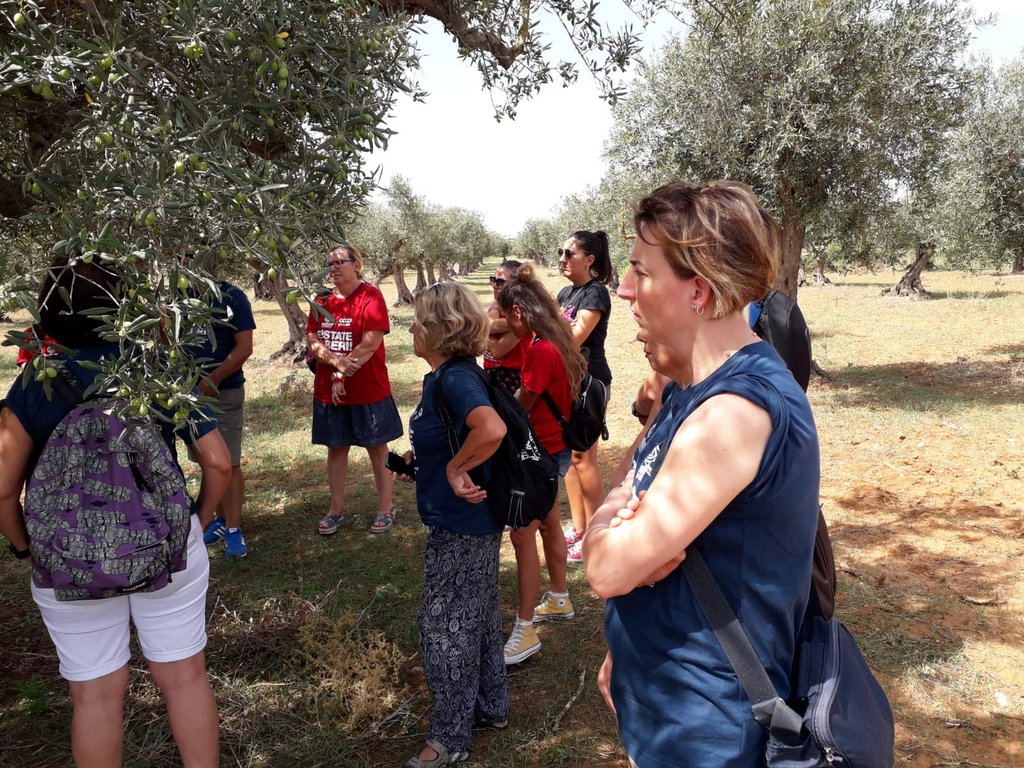 Campi liberi a San Giuseppe Jato dal 3 al 9 settembre 2018 (29)