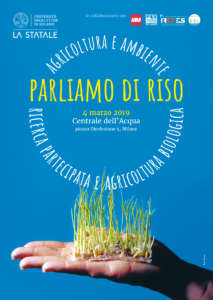 Agricoltura e ambiente: parliamo di riso!