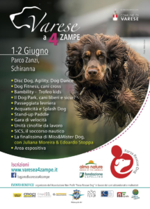 Varese a 4 zampe il divertimento ha un cuore grande