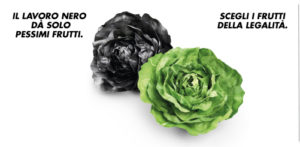 Con l’insalata Vivi Verde Coop si fa accoglienza e formazione