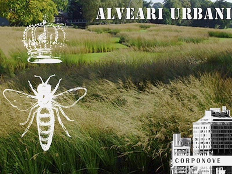 Pavia Api - libro Alveari Urbani