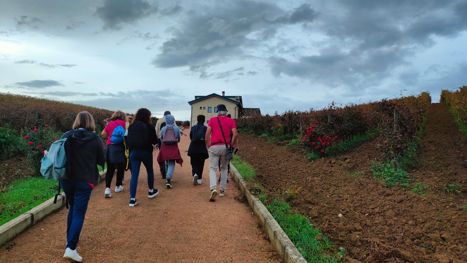 Campo Libera Terra Castelvetrano - ottobre 2024