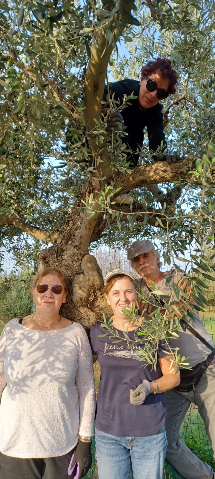 Campo Libera Terra Castelvetrano - ottobre 2024