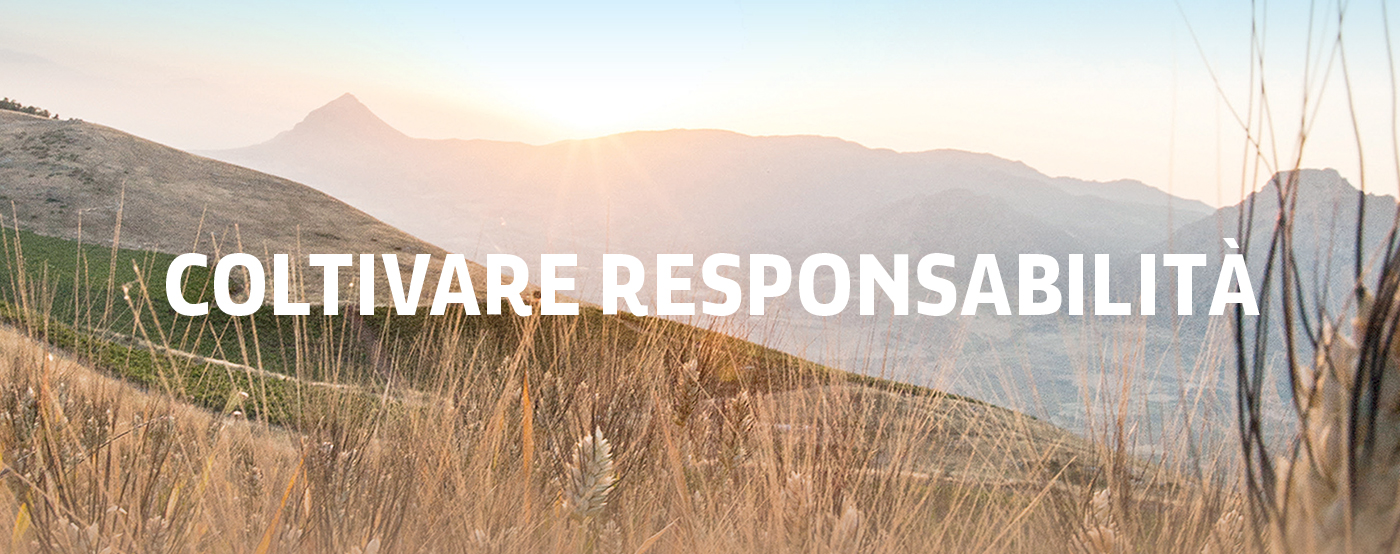 Coltivare responsabilità - Legalità