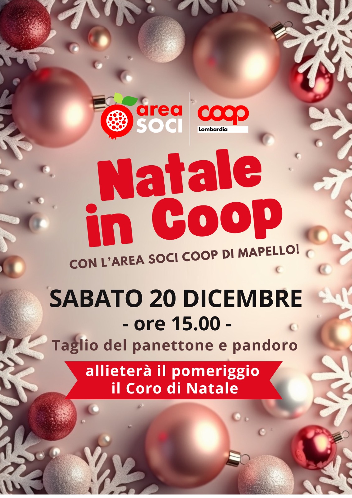 Natale in Coop_Mapello