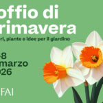 FAI Soffio di primavera