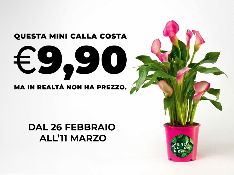 Verde Speranza: le mini calle per la Ricerca oncologica></a>
					</div>
						<div class=