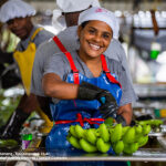 Giornata del Fair Trade: un acquisto può cambiare il mondo 