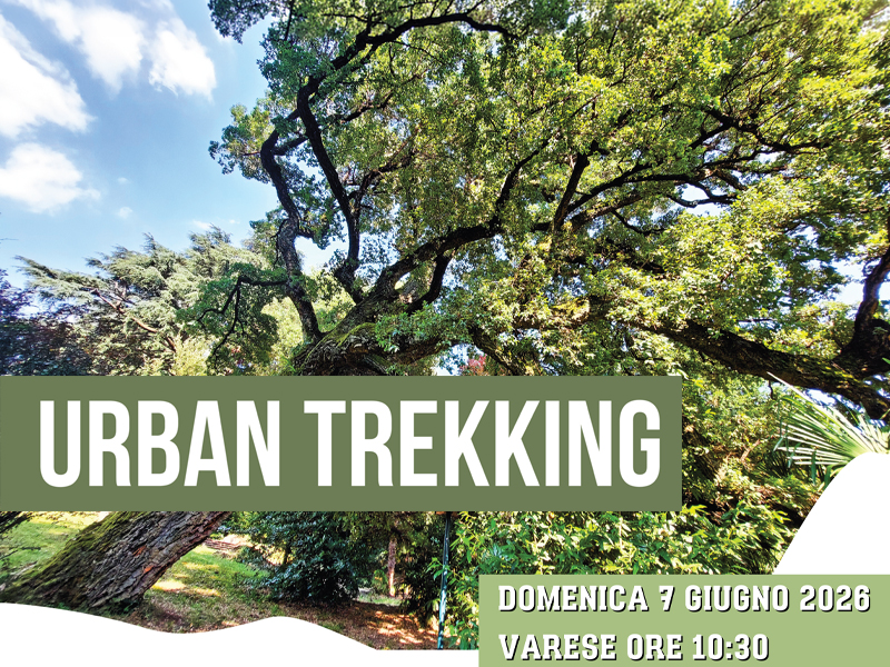 Urban Trekking a Varese: alla scoperta della natura, in città!><noscript><img src=