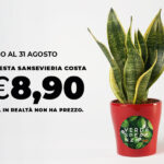 Verde Speranza: fino al 31 agosto sostieni la Ricerca oncologica