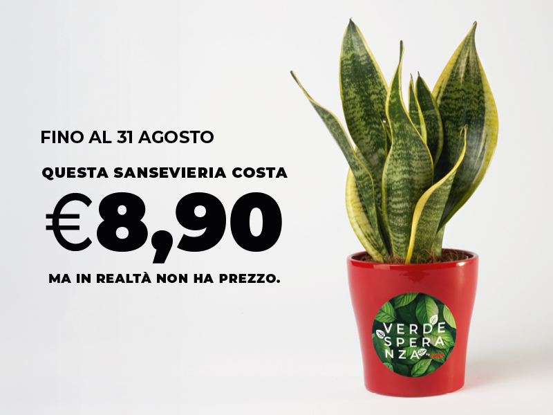 Verde Speranza: fino al 31 agosto sostieni la Ricerca oncologica 