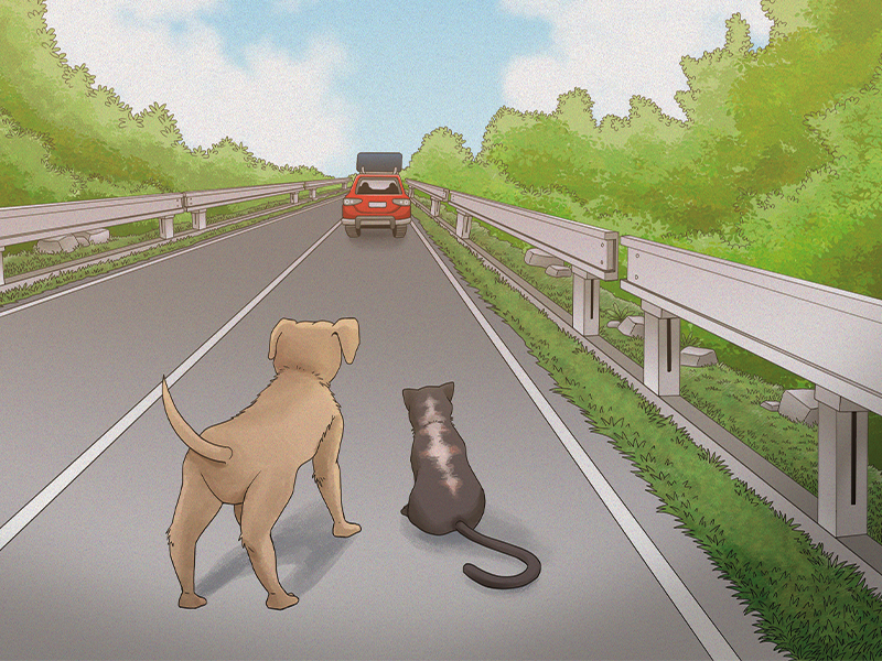 L’abbandono degli animali: un gesto che lascia il segno><noscript><img src=