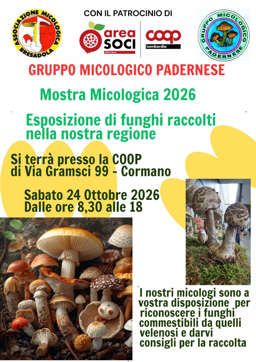 Mostra Micologica 2026 – Esposizione di funghi raccolti nella nostra regione